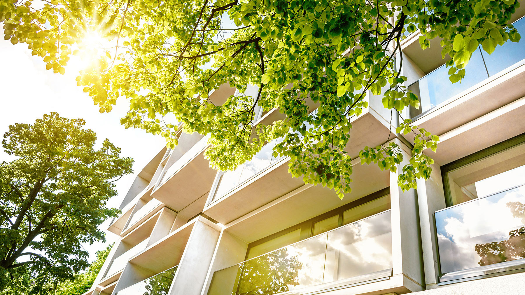 Civic Association of Terra Nova (Spring) cover